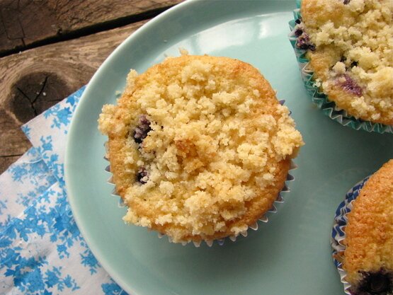Post image for Grain Free Blueberry Crumb Muffins. (Gluten/Dairy/Soy Free)
