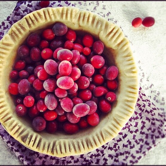 Post image for Grain Free Pie Crust (For double crust pie’s). Egg/Gluten/Dairy/Corn/Soy Free.