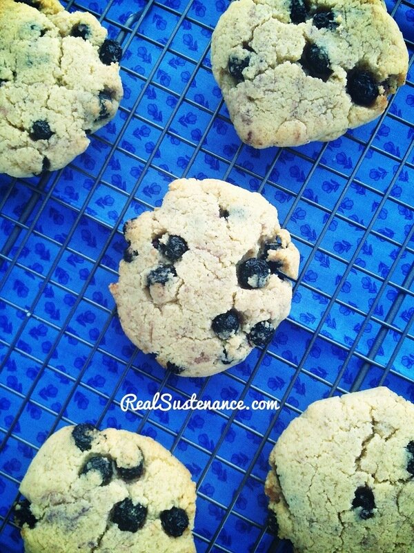 Post image for Buttery Blueberry Pancake Cookies. (Gluten/Grain/Egg/Starch/Dairy Free with directions to make Sugar Free.)